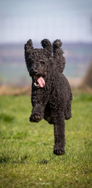 img659 dxo dng dxo prime b