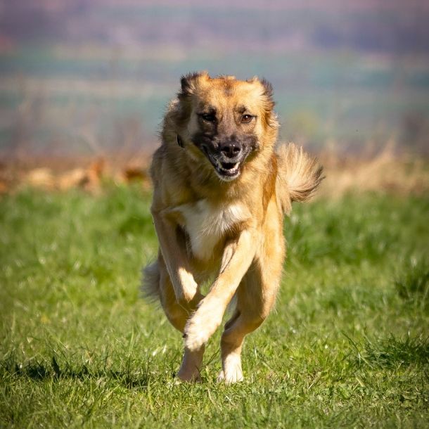 img779 dxo dng dxo prime b