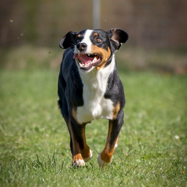 img790 dxo dng dxo prime b